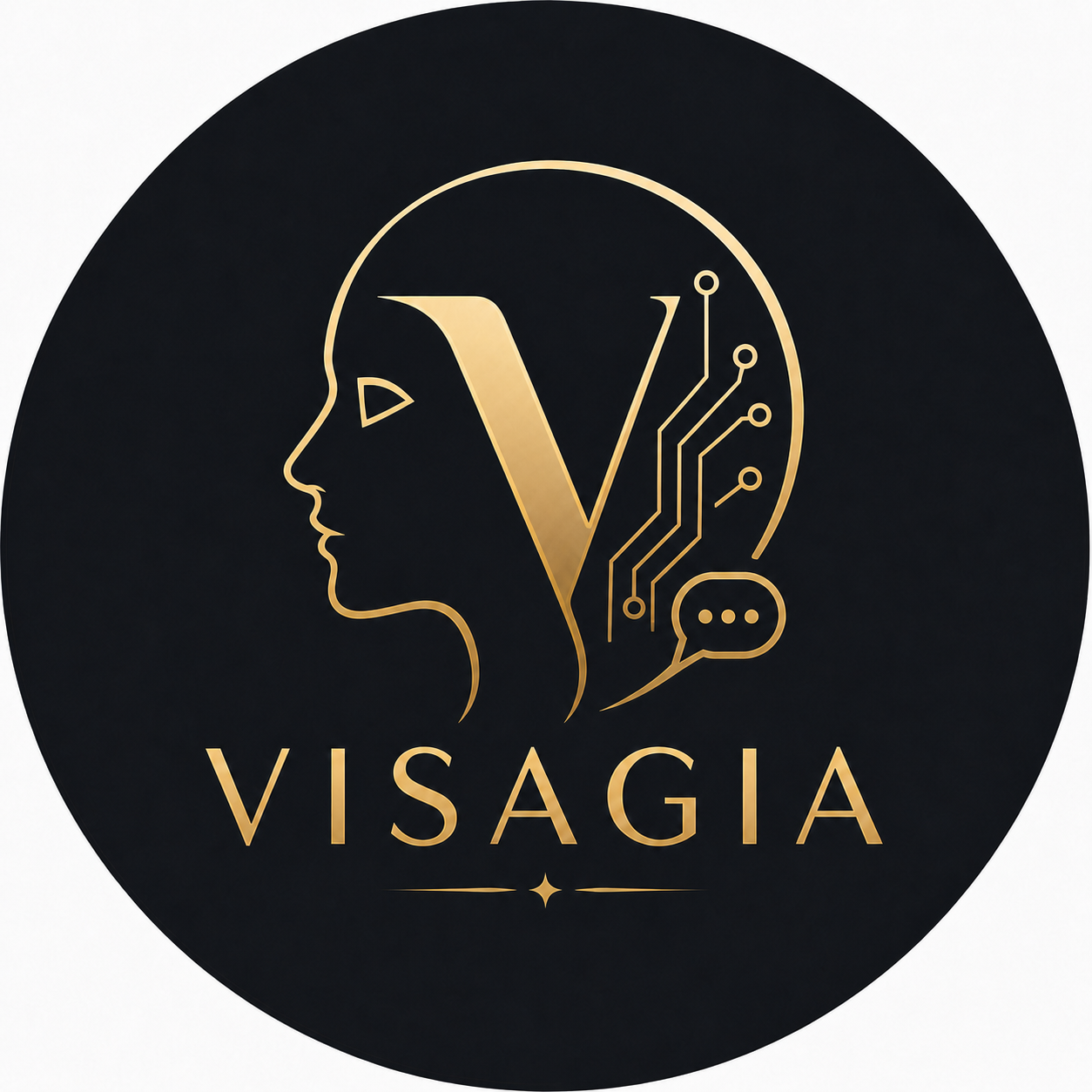 Logo Visagia
